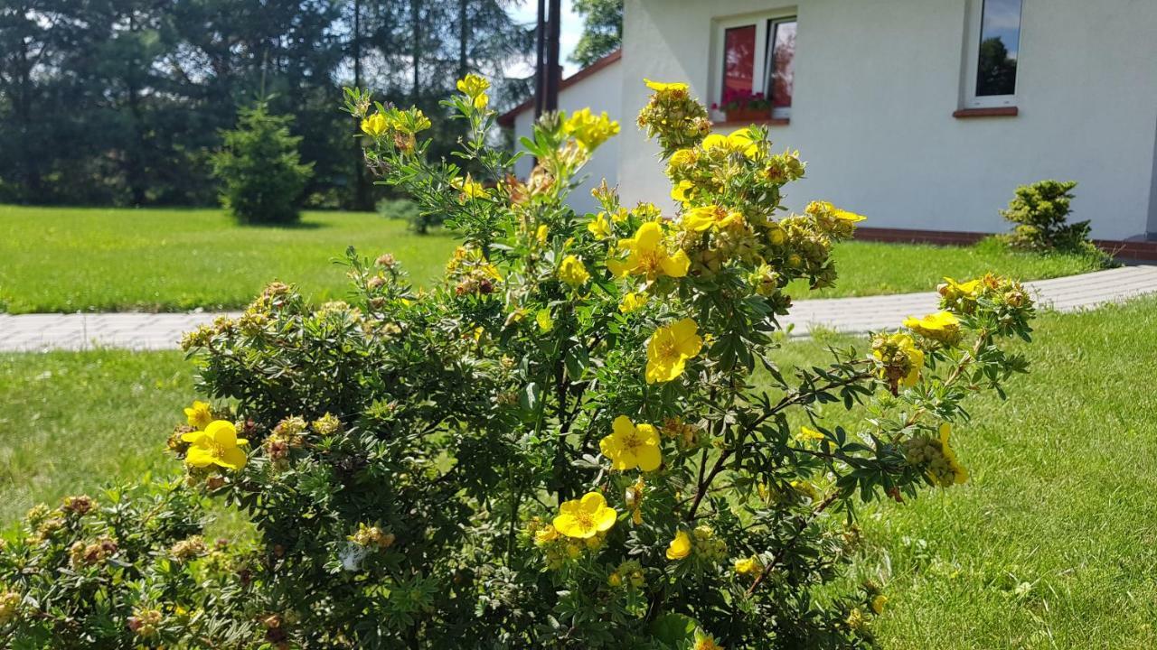 Gosciniec Mazurek Lejlighed Giżycko Eksteriør billede